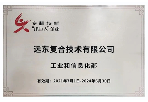 遠東復合技術(shù)專精特新小巨人企業(yè)